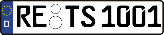 RE-TS1001