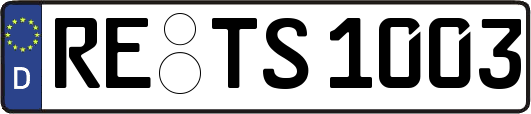 RE-TS1003