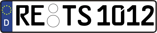 RE-TS1012