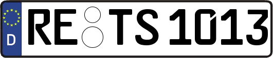 RE-TS1013