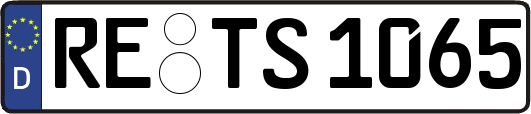 RE-TS1065