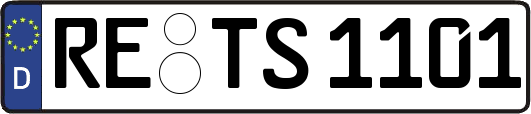 RE-TS1101