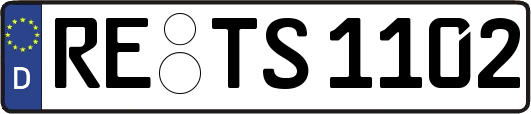 RE-TS1102