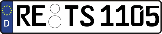 RE-TS1105