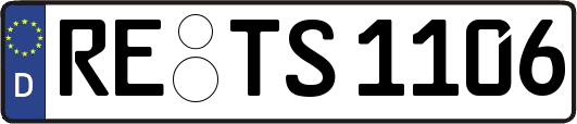 RE-TS1106