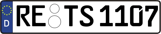 RE-TS1107