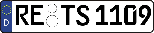 RE-TS1109