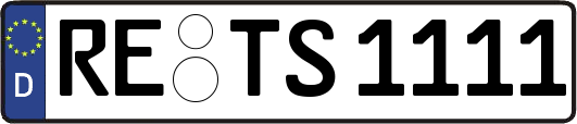 RE-TS1111