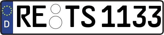 RE-TS1133