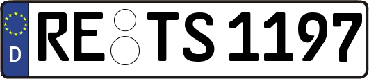 RE-TS1197