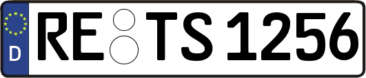 RE-TS1256