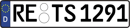 RE-TS1291