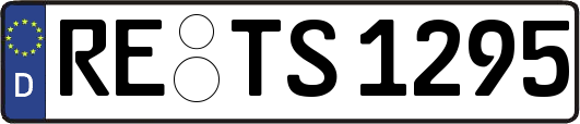 RE-TS1295