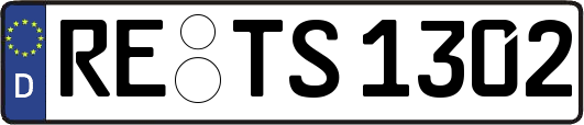 RE-TS1302