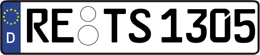 RE-TS1305