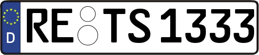RE-TS1333