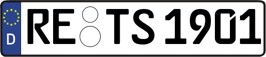 RE-TS1901