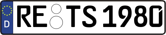 RE-TS1980