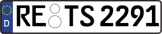RE-TS2291
