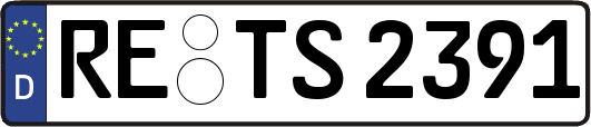 RE-TS2391