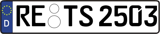 RE-TS2503