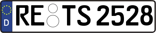 RE-TS2528