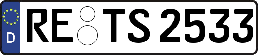 RE-TS2533