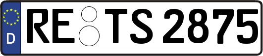 RE-TS2875