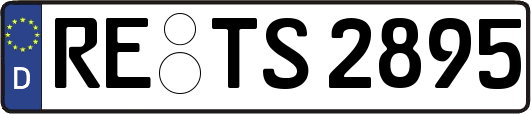 RE-TS2895