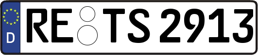 RE-TS2913