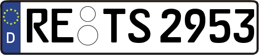 RE-TS2953