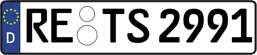 RE-TS2991