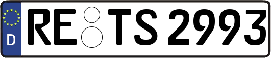 RE-TS2993