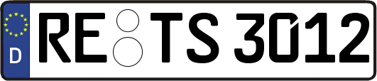 RE-TS3012