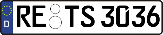 RE-TS3036