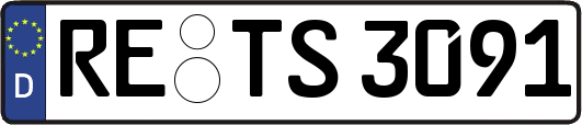 RE-TS3091
