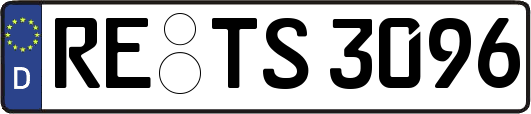 RE-TS3096