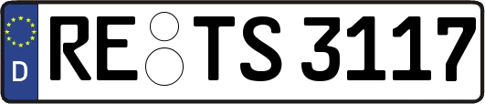 RE-TS3117