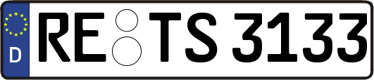 RE-TS3133