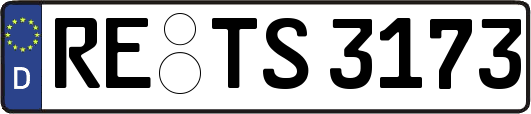 RE-TS3173