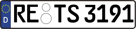 RE-TS3191