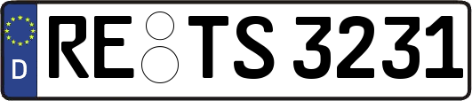 RE-TS3231