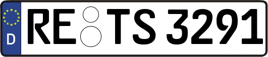RE-TS3291