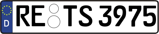 RE-TS3975
