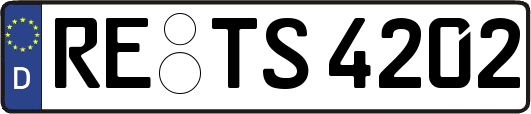 RE-TS4202