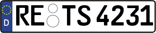 RE-TS4231