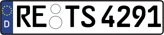 RE-TS4291