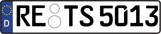 RE-TS5013