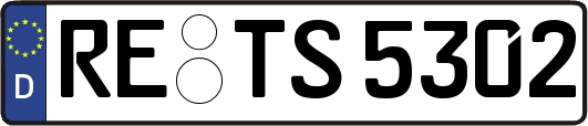 RE-TS5302