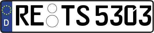 RE-TS5303